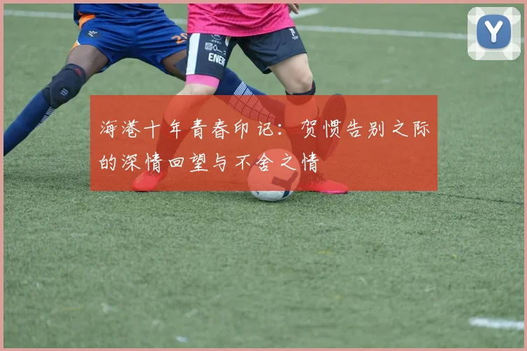 海港十年青春印记：贺惯告别之际的深情回望与不舍之情
