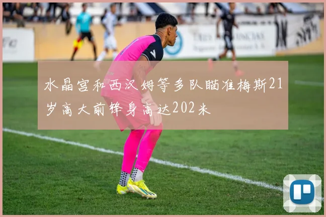 水晶宫和西汉姆等多队瞄准梅斯21岁高大前锋身高达202米
